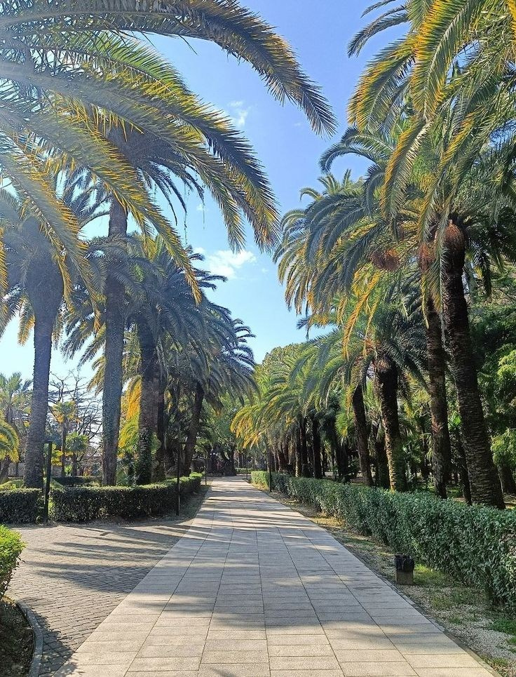 Обучающий фототур в Абхазию 20–25 февраля 2026. Детский и семейный фотограф Елена Михайлова в Москве