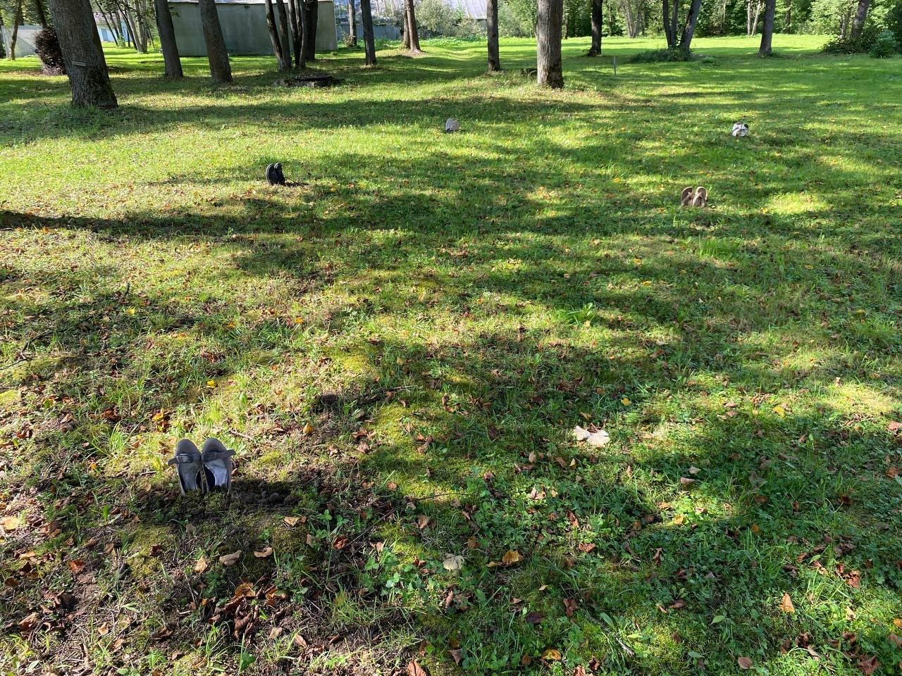 Резиденция «Белые аллеи» Москва. Лилия Ким. Междисциплинарный художник