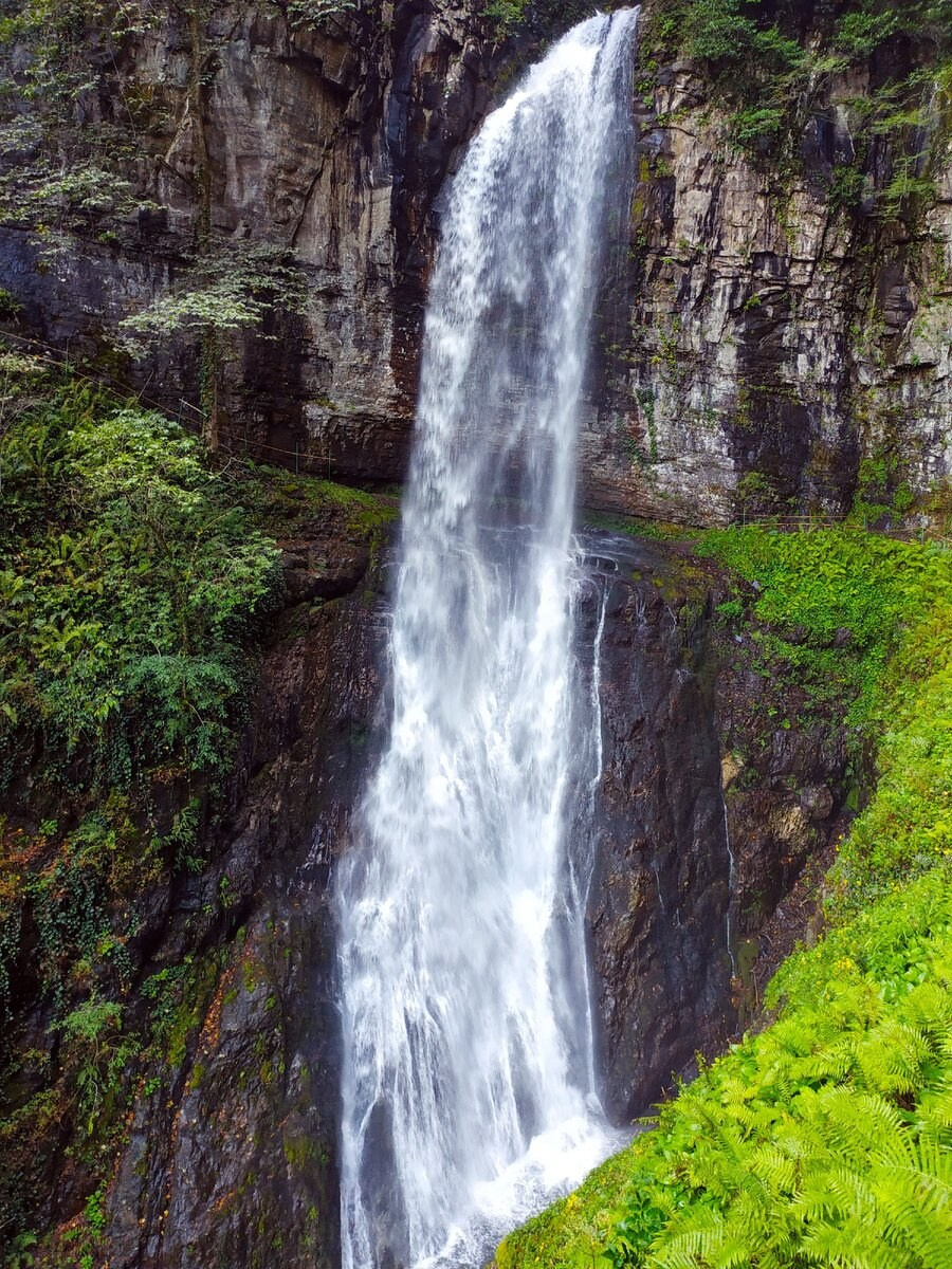 Абхазия. «Мандариновое настроение». Ольга Котова
