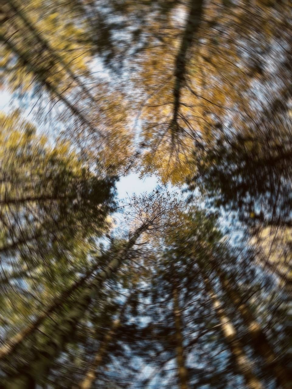 Марафон креативной фотографии. Vladimir Borele Photographer