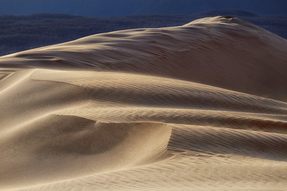 Чарские пески. Май 2026
