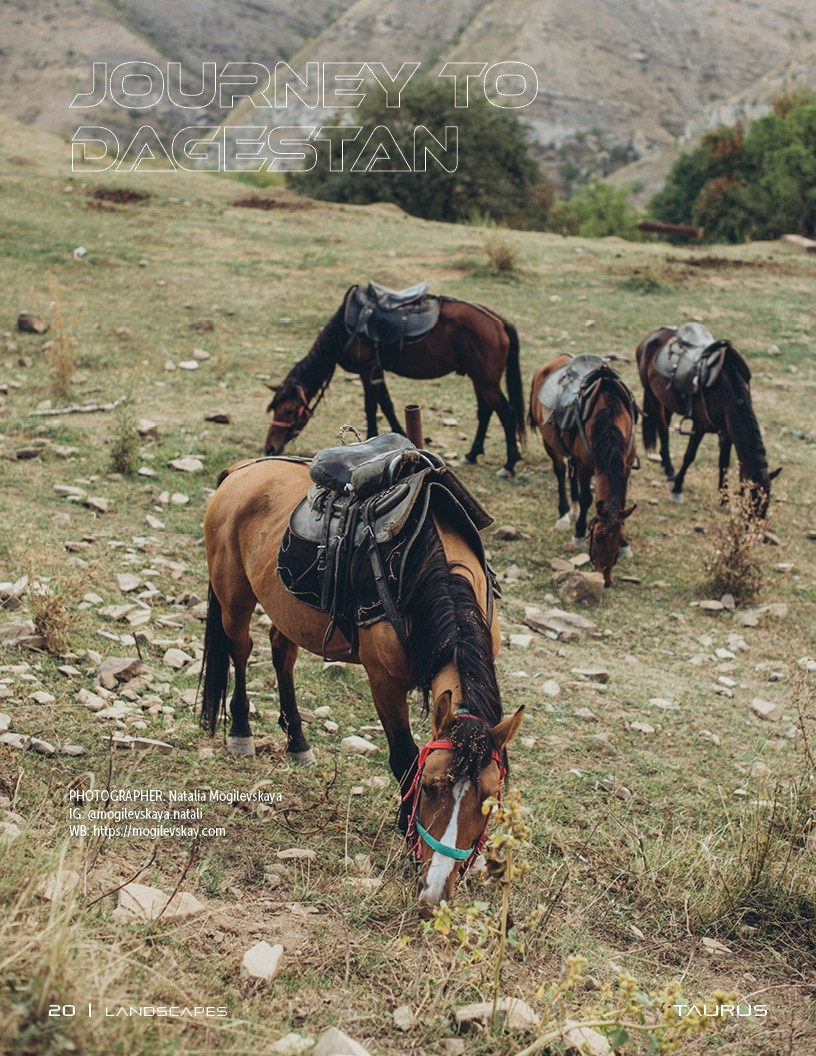 Фотограф Наталья Могилевская Мурманск Териберка Сейдозеро Рыбачий