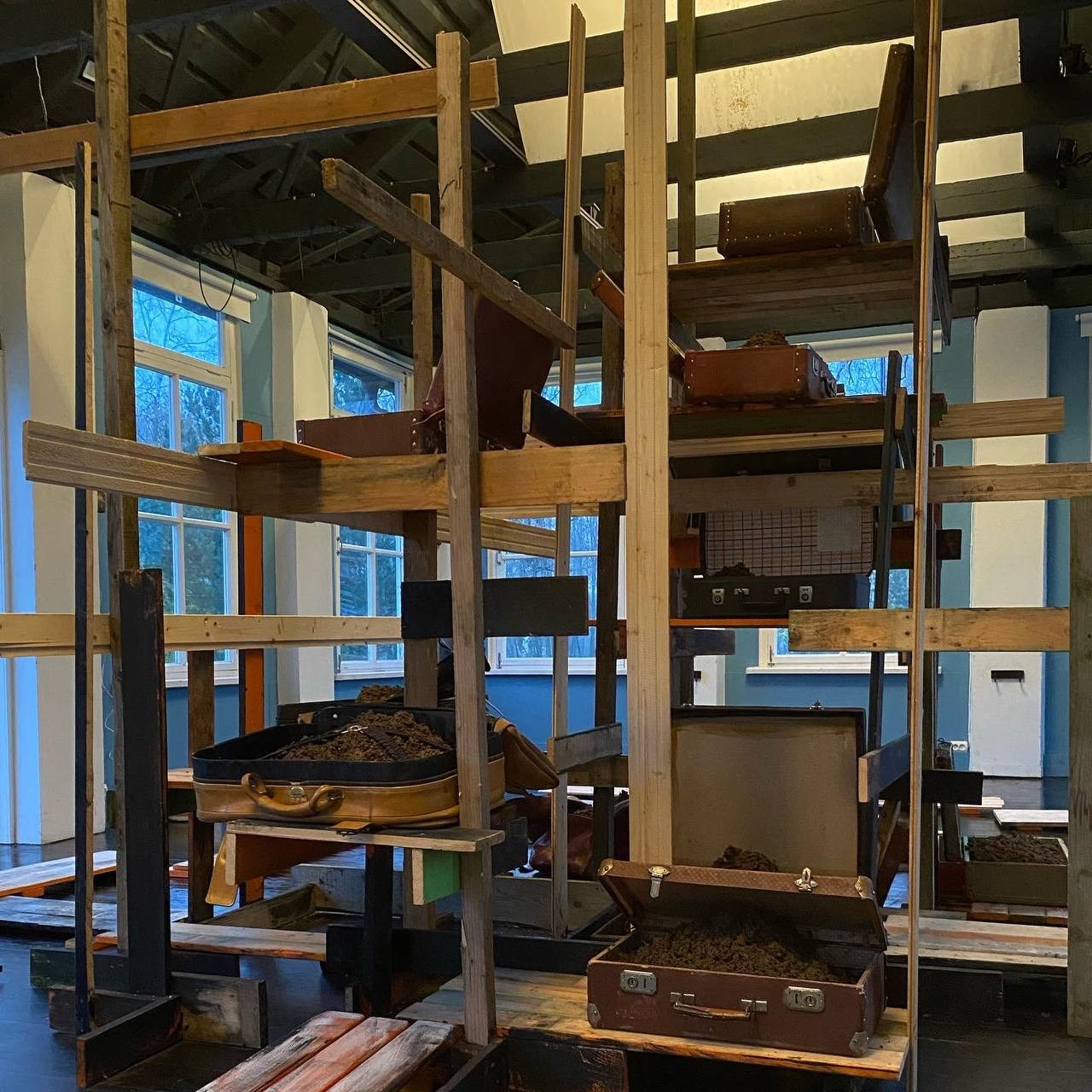 Концепт «Земля». Лилия Ким. Междисциплинарный художник