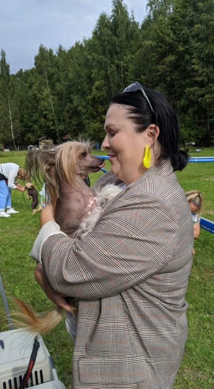 Первый фестиваль породы «Яркий мир КХС 2021». Две выставки. Питомник китайских хохлатых собак Poale Ell: купить щенка