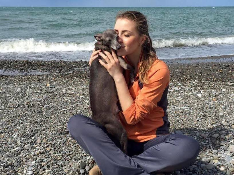 Первые наши собаки. Профессиональный питомник левреток РКФ/FCI ASTI SAPPHIRE 💎 Сочи|Санкт-Петербург