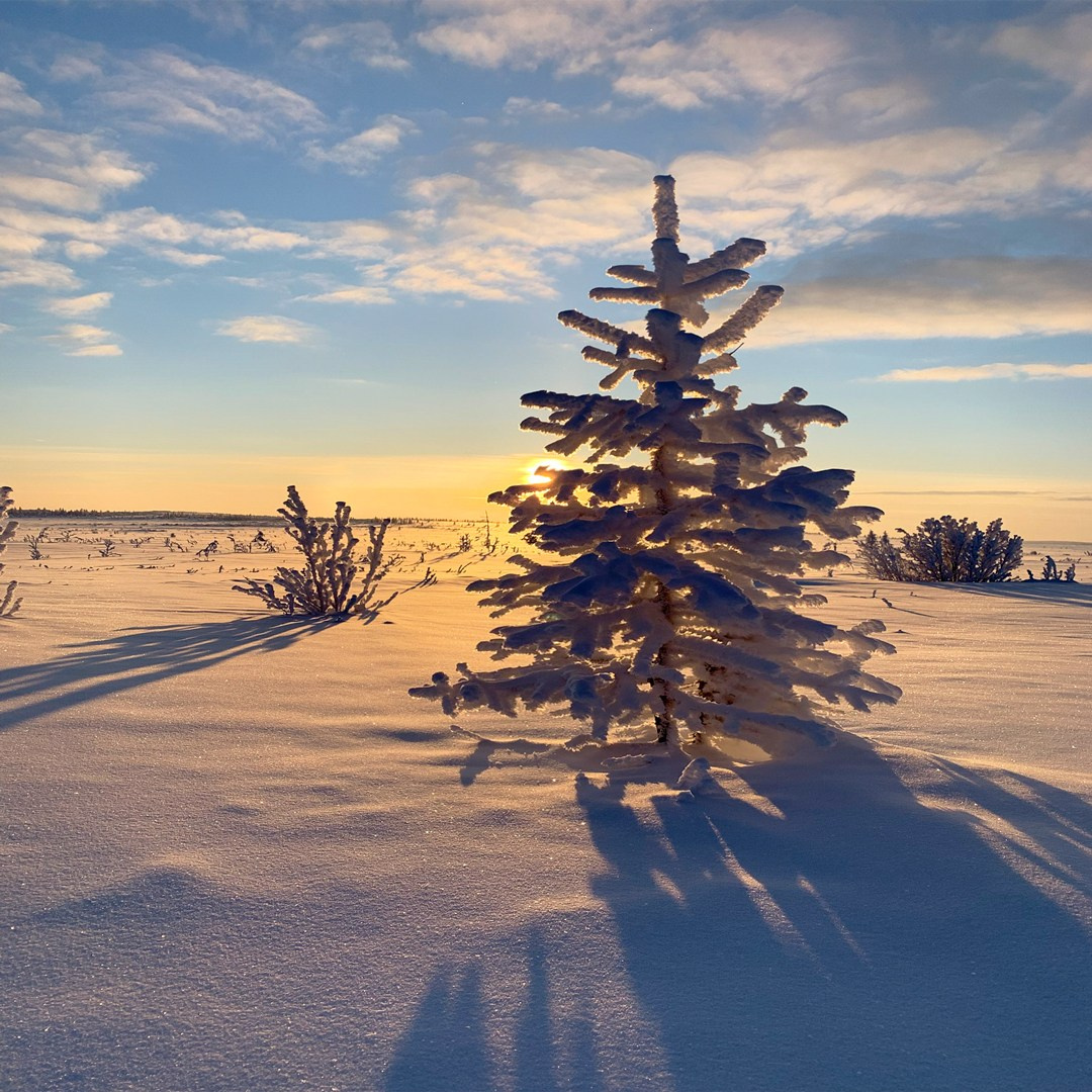 Фотографии пейзажей и архитектуры