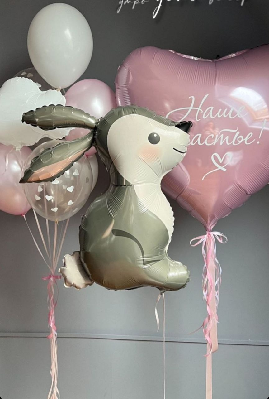 Balino prvi rodendan dostava balona Novi Sad dostava balonaBeograd. Шары с гелием, фотозоны Нови Сад Белград. Balone i dekoracije od balona Novi Sad Beograd