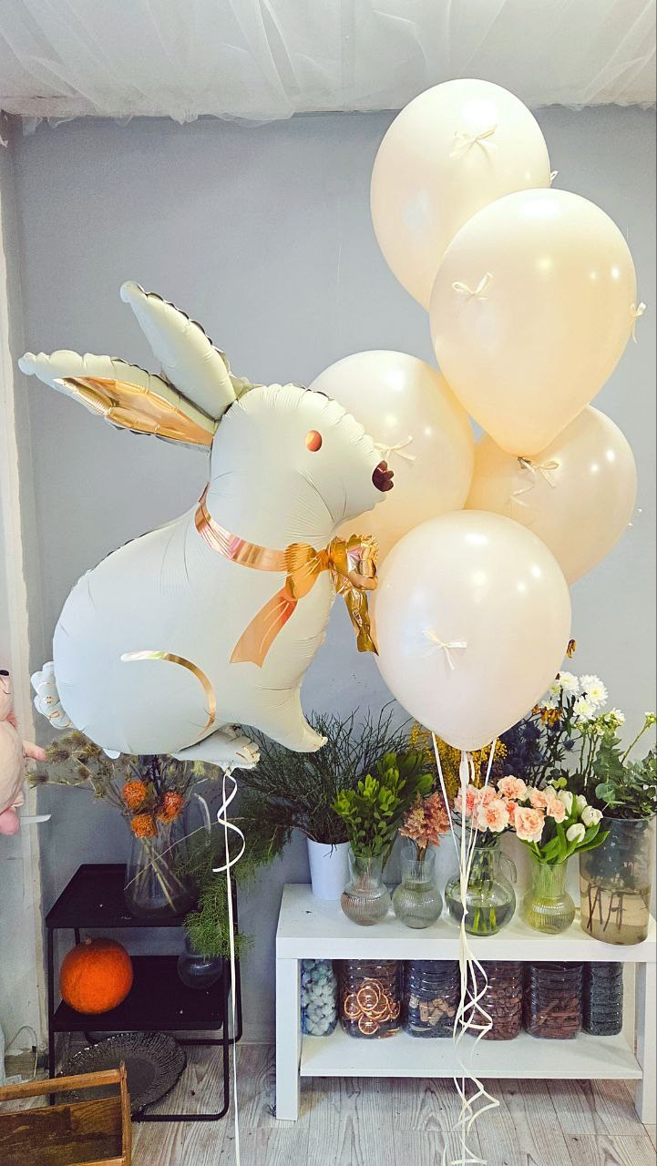 Odalazak iz porodilista prodavnica balona Novi Sad prodavnica balona Beograd. Шары с гелием, фотозоны Нови Сад Белград. Balone i dekoracije od balona Novi Sad Beograd