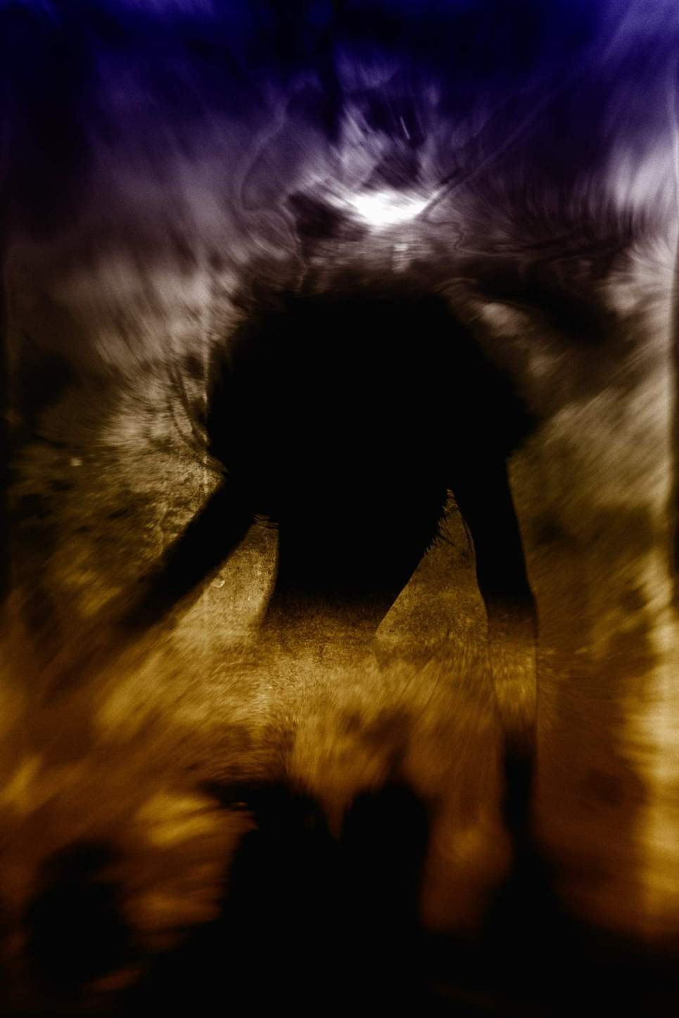 Цены и услуги. ALEXANDER VESELKOV — ФОТОГРАФ | NFT ARTIST | РЕЖИССЕР I VISUAL ARTIST