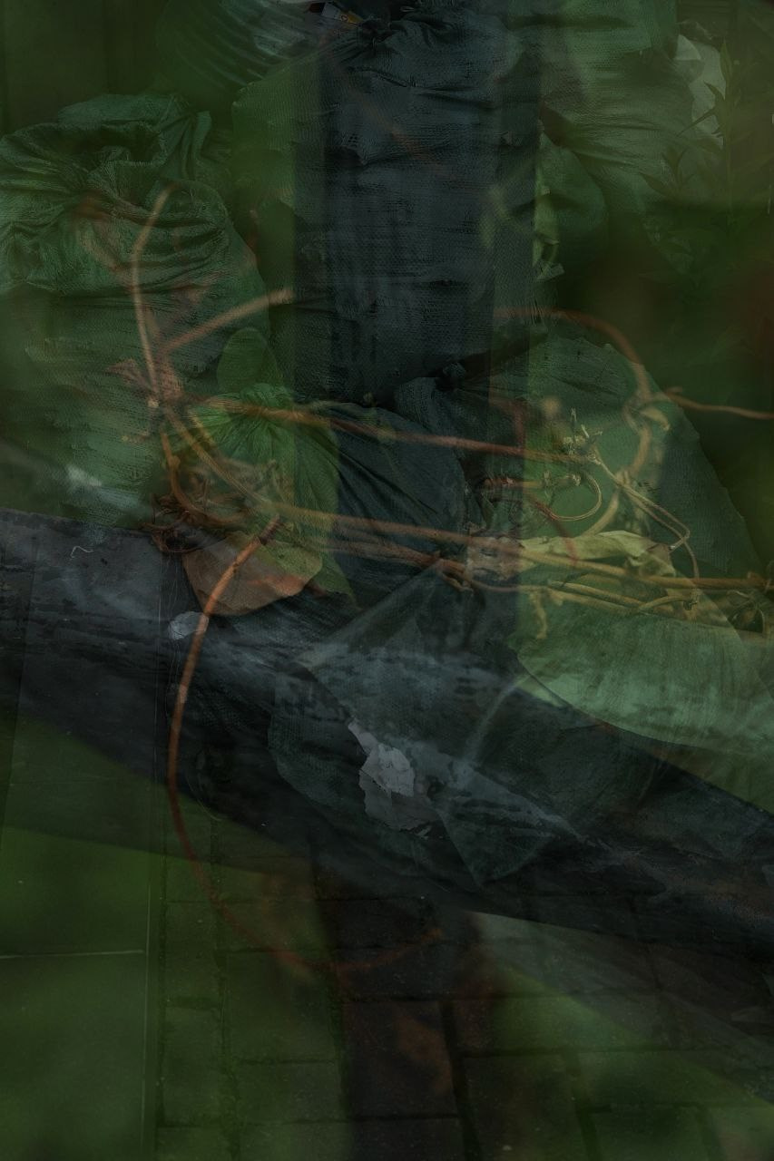 What Happened?. Margarita Rodionova — a contemporary lens-based artist currently working in Cancun, Mexico