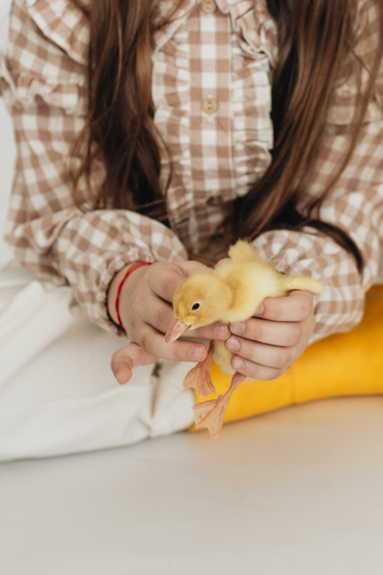 Детские фотосессии с утятами в Железнодорожном и Балашихе