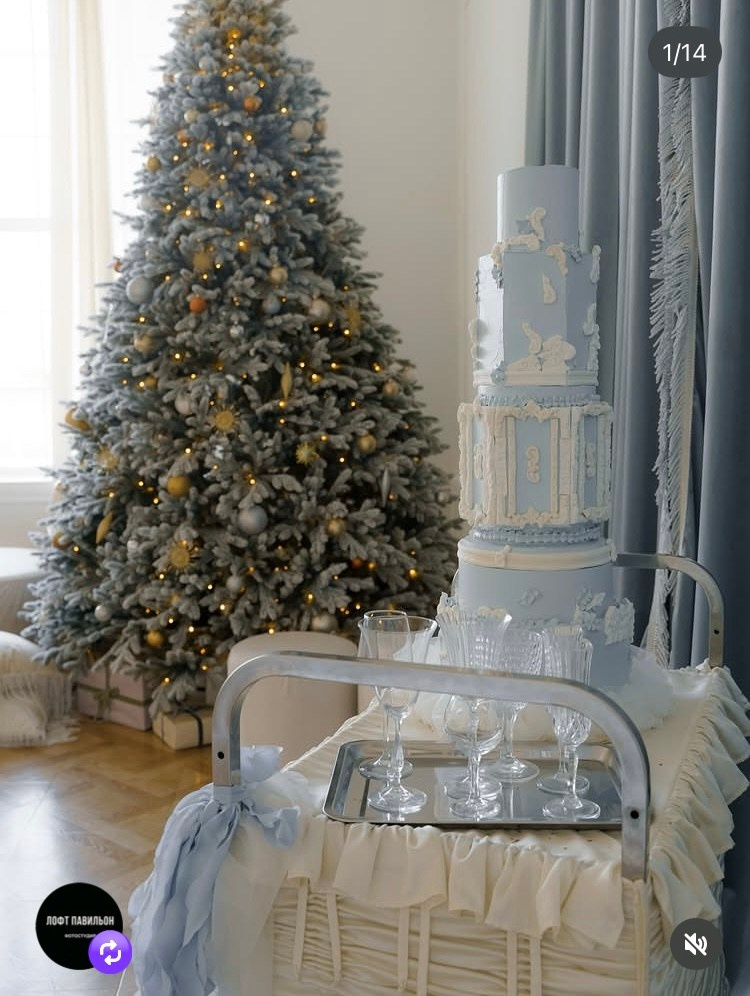 Новый год. Фотограф Беременности в Краснодаре Кара Артисан