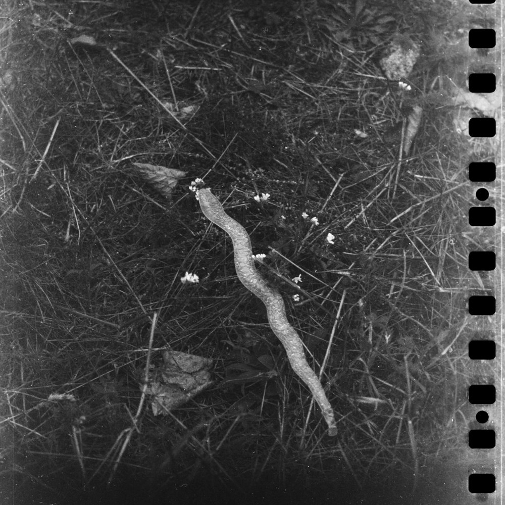 300 meters of bad film. Lisa Mukhina