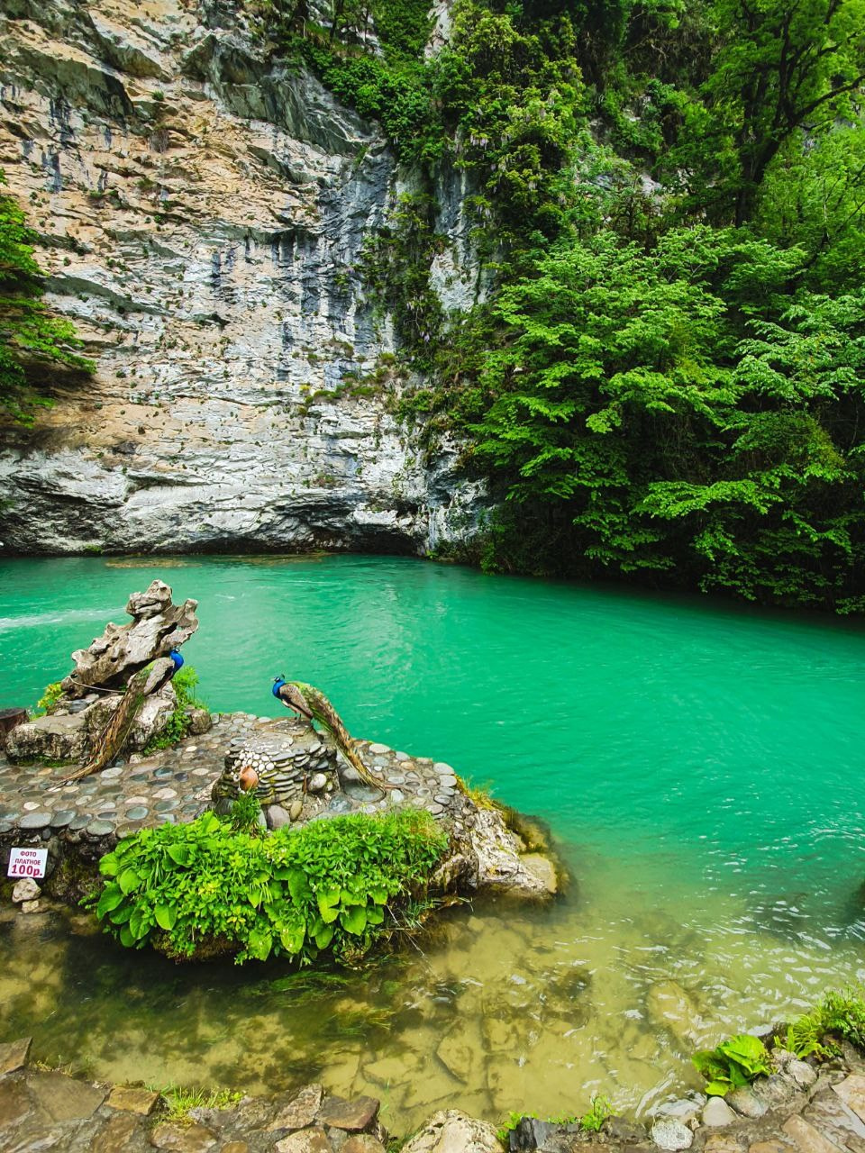 ФотоТуры. Фотограф Красная поляна|Сочи|Сириус