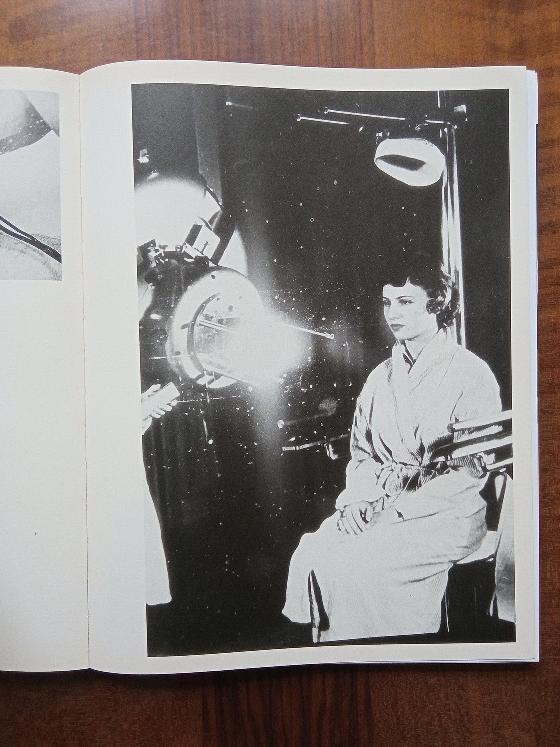 Проект «Worry for the fruit the birds won’t eat» Софи Габриэль. Private image