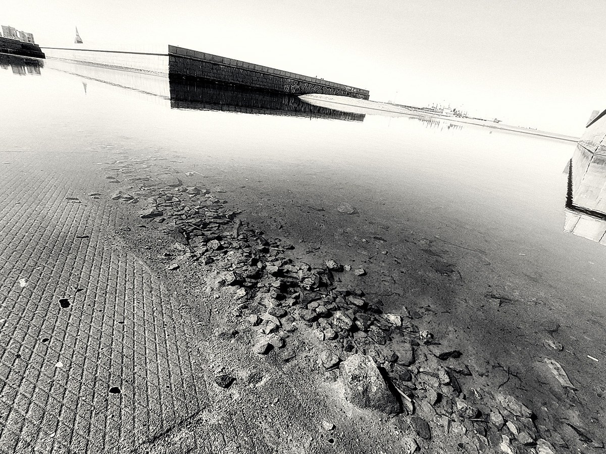 Для какого жанра лучше всего подходит чёрно-белая съёмка. НЕЙРО-АРТы Воеводова