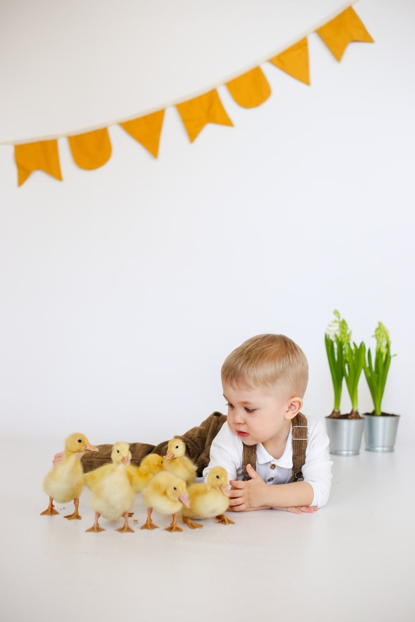 Детские фотосессии с утятами в Железнодорожном и Балашихе