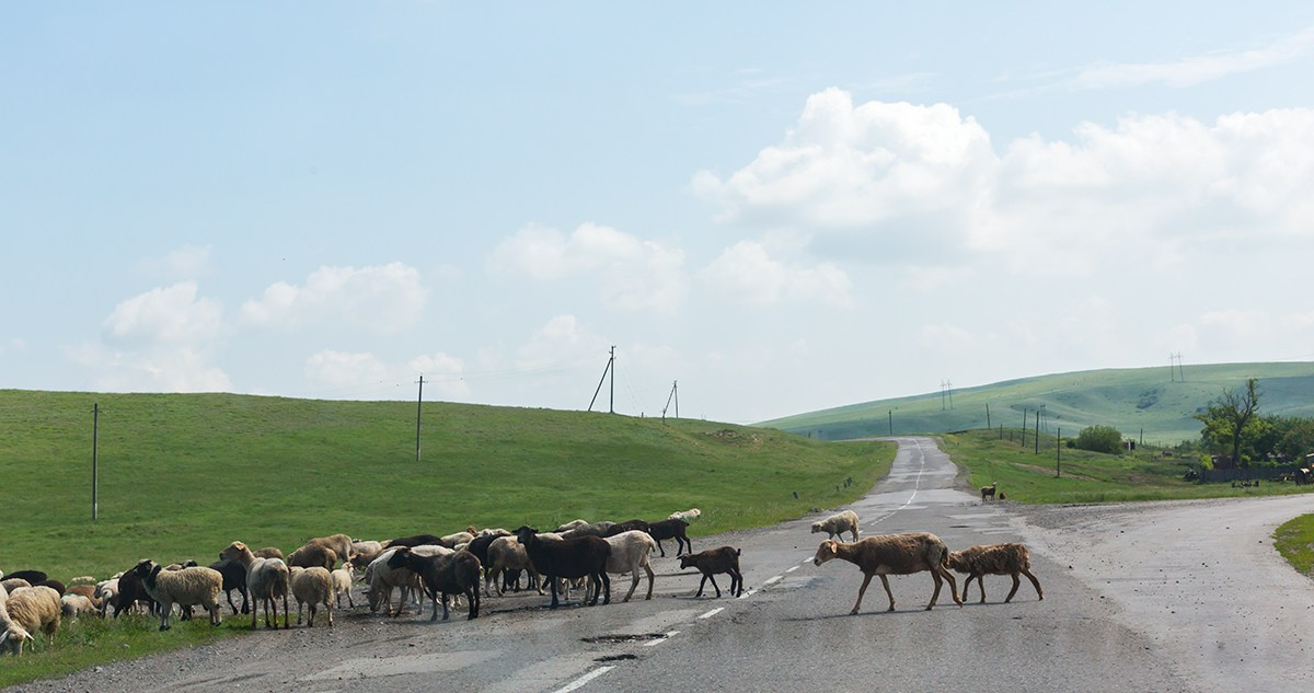 Ma Way. Главная