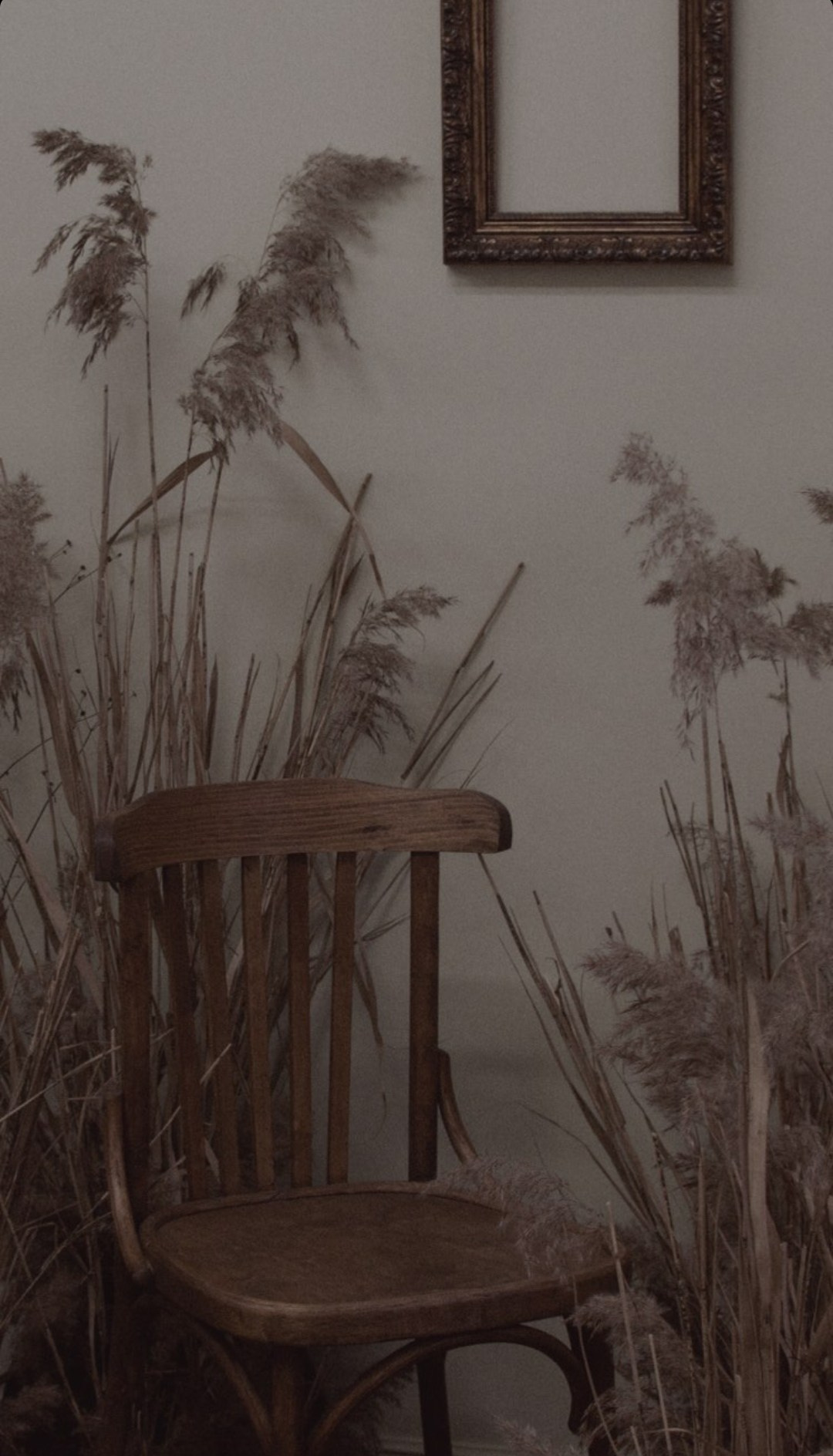 Подборка студий. Портретный фотограф в Москве Ефанова Ульяна. Женский портрет