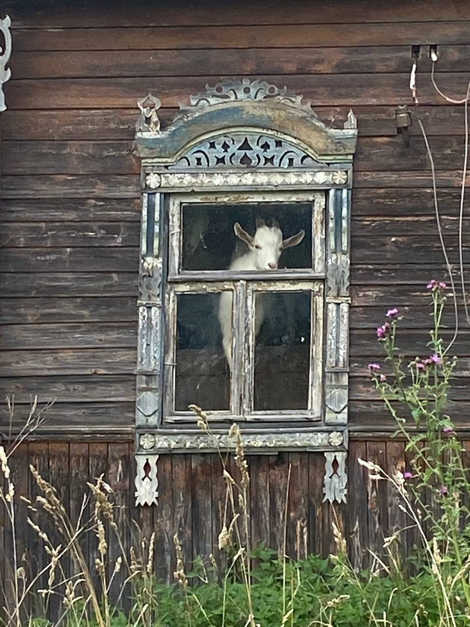 Резиденция Twin Ples 2024. Лилия Ким. Междисциплинарный художник