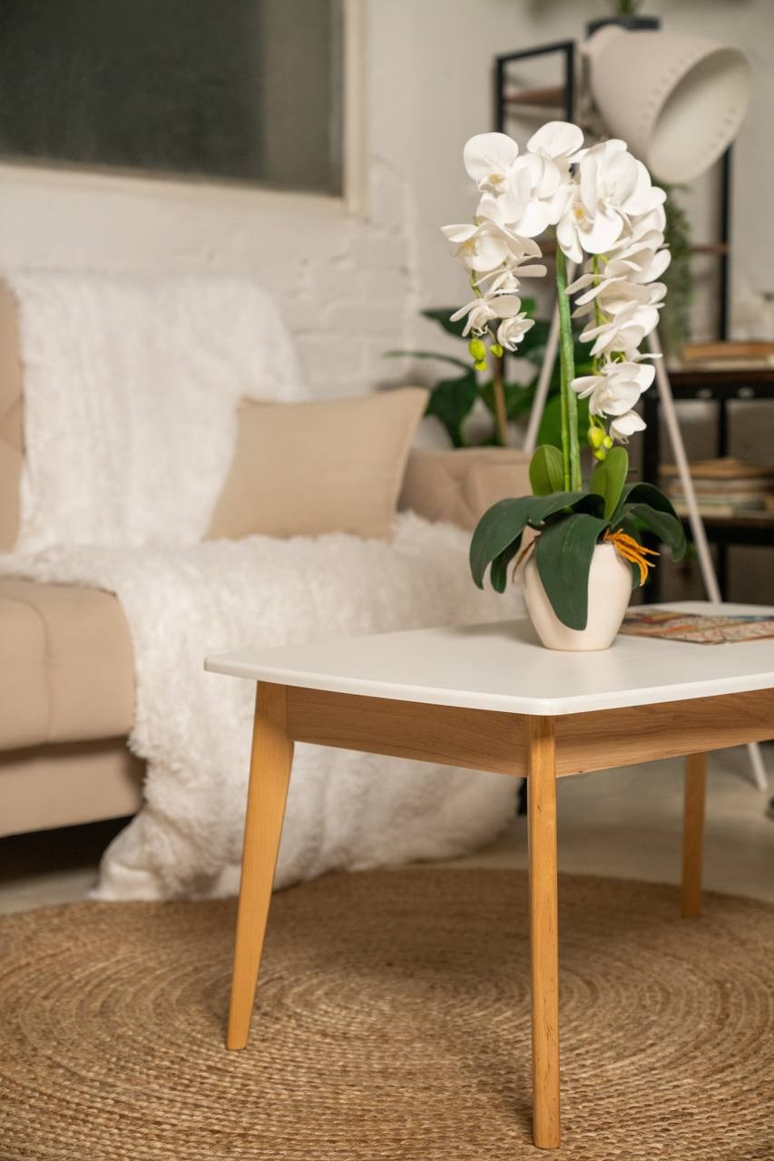 Зал Второй этаж. Фотостудия Чехов Продакшн