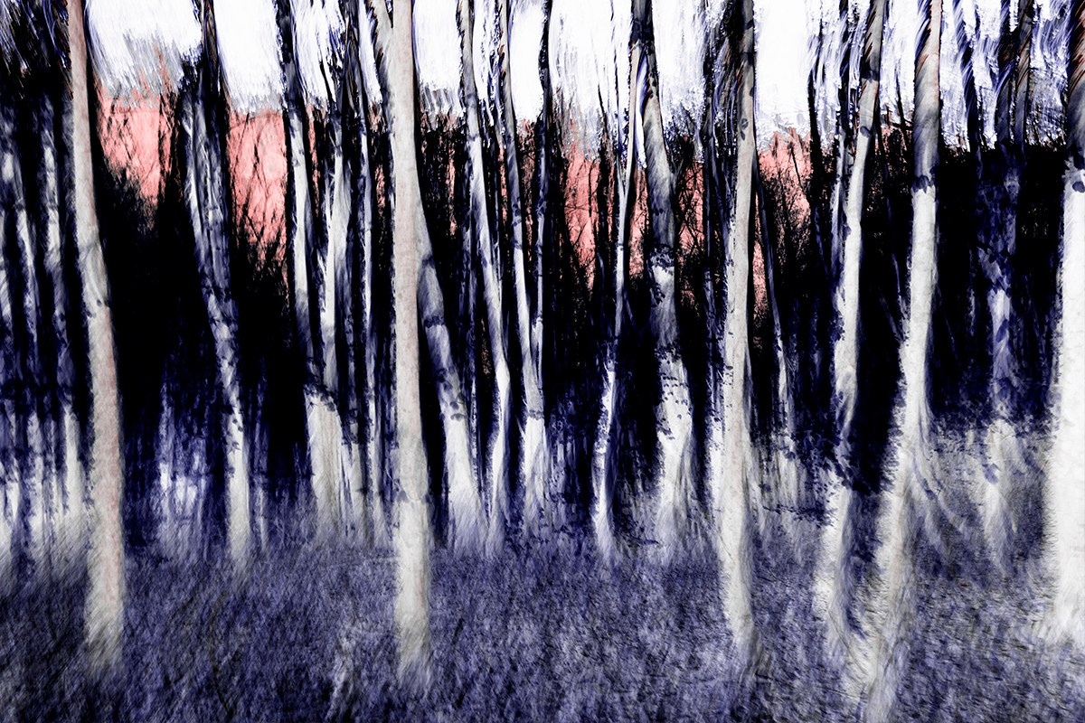 Walks in the Forest. Vasiliy Riabovol — Fine Art Photographer | Time, Space, and Silence