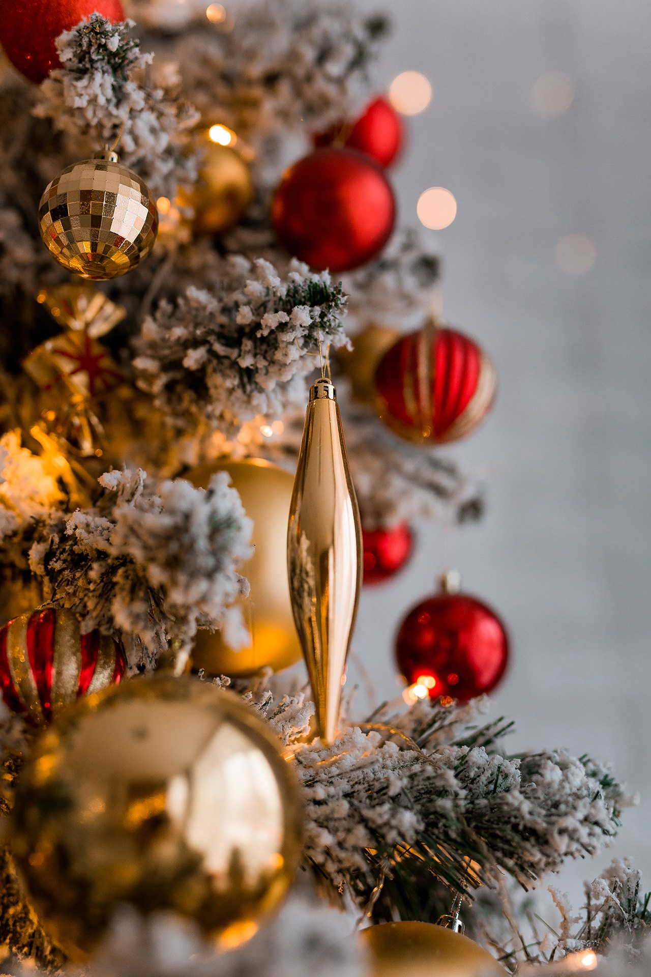 Новогодние фотодни Королев. Katerina Schastlivaya