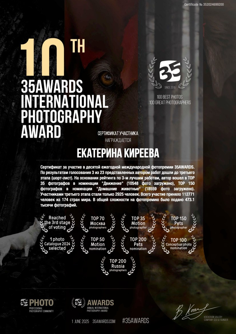 Семейный фотограф животных, анималист в Москве Екатерина Киреева
