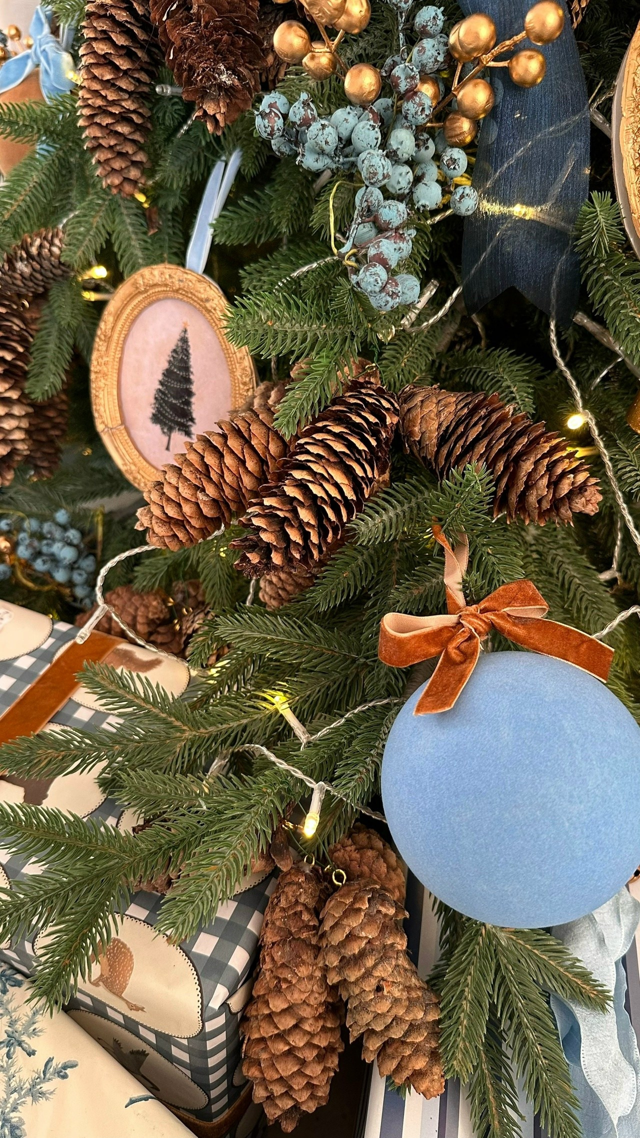 Новогодние залы. Семейный и женский фотограф в Воронеже Ольга Попова