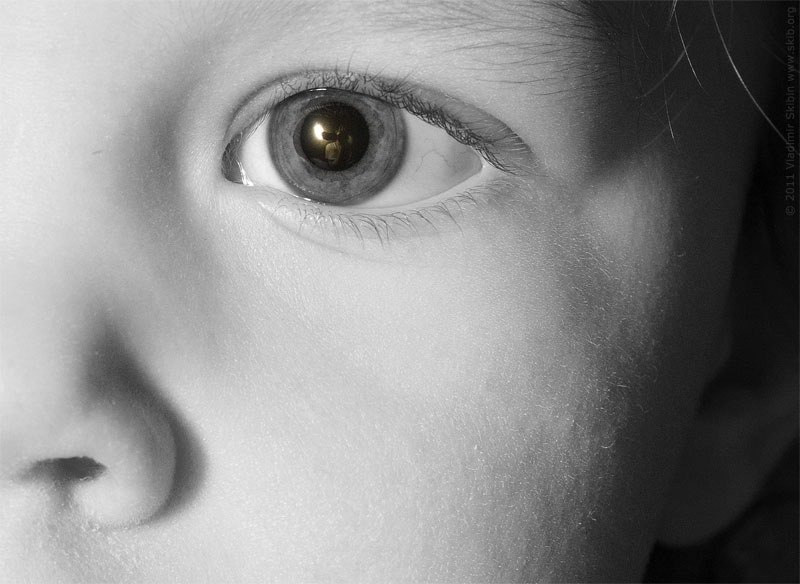 Женские, мужские и детские портреты в студии. Профессиональный фотограф в Белгороде Владимир Скибин