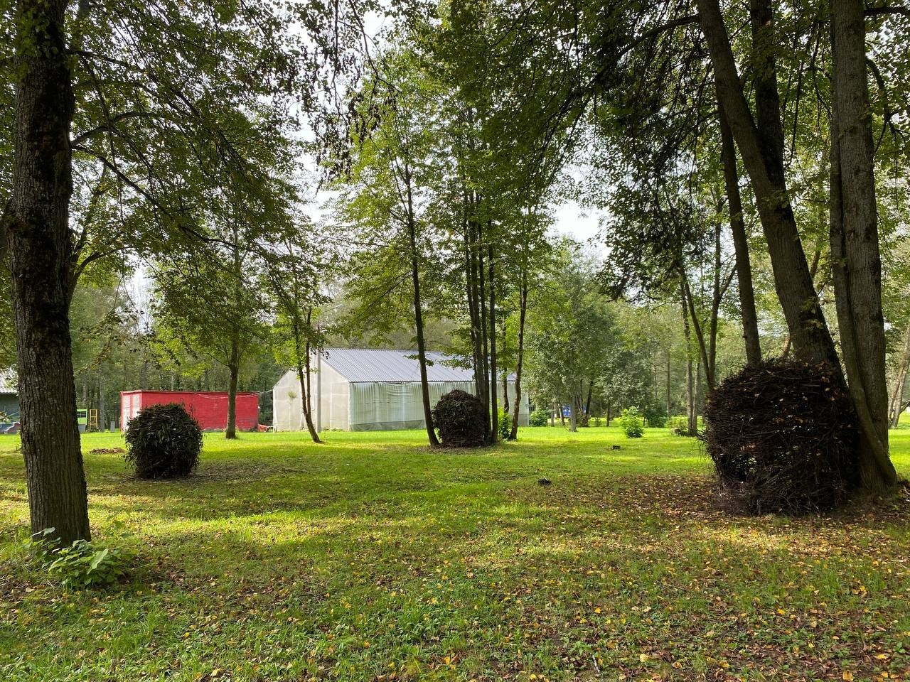 Резиденция «Белые аллеи» Москва. Лилия Ким. Междисциплинарный художник