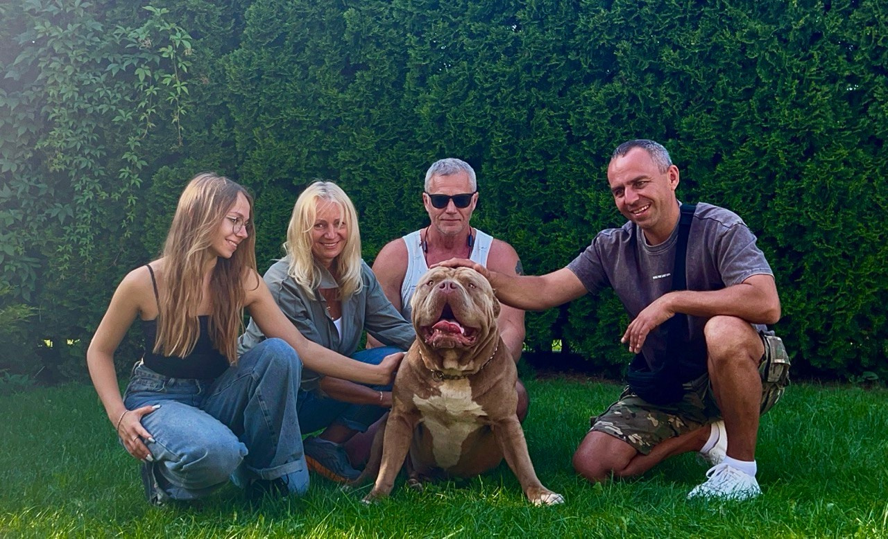 Хантер. Американские булли XL в г. Калининград. Питомник Great Bully UNIVERSE