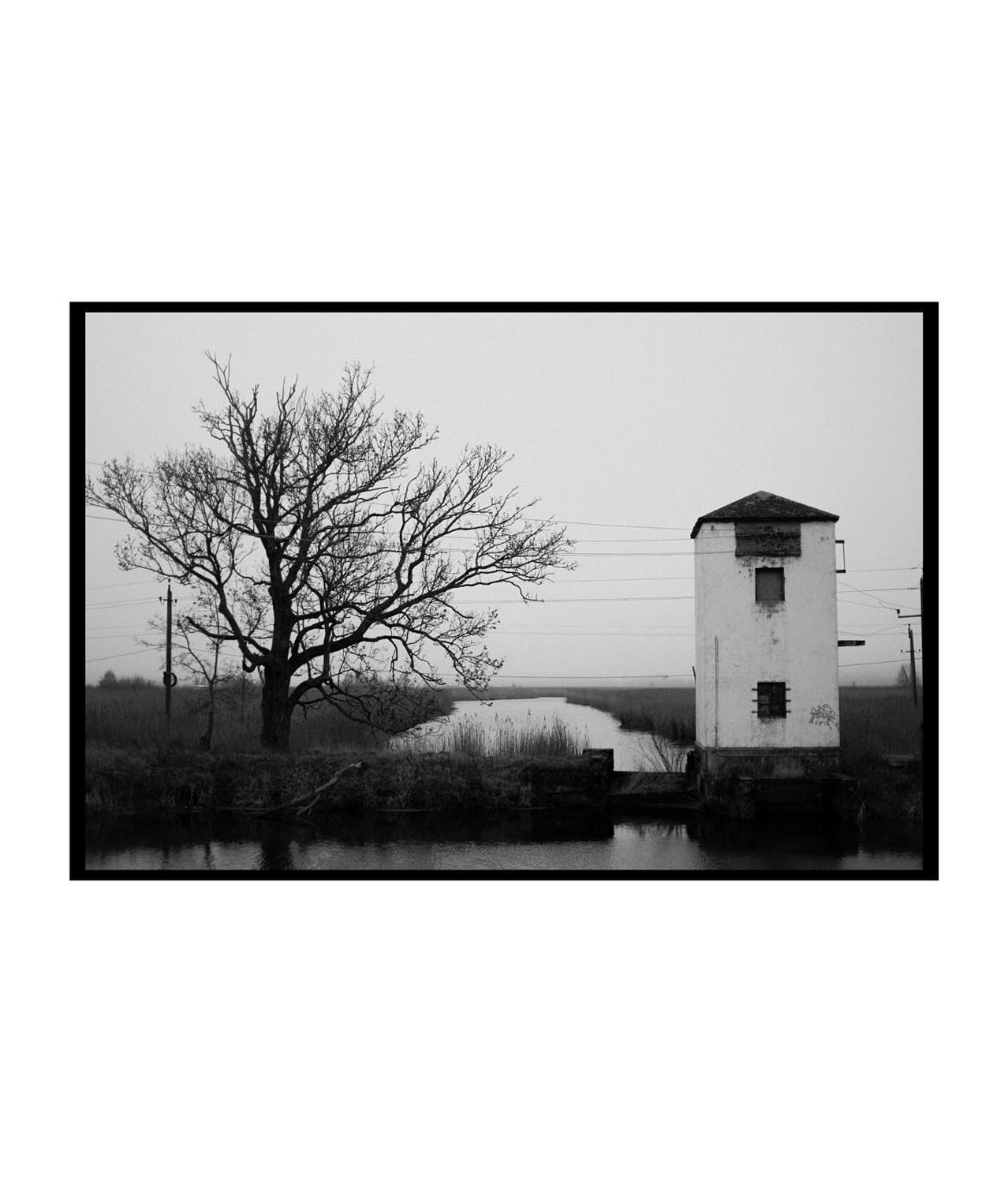 Фотограф в Калининграде, Софья Вологдина