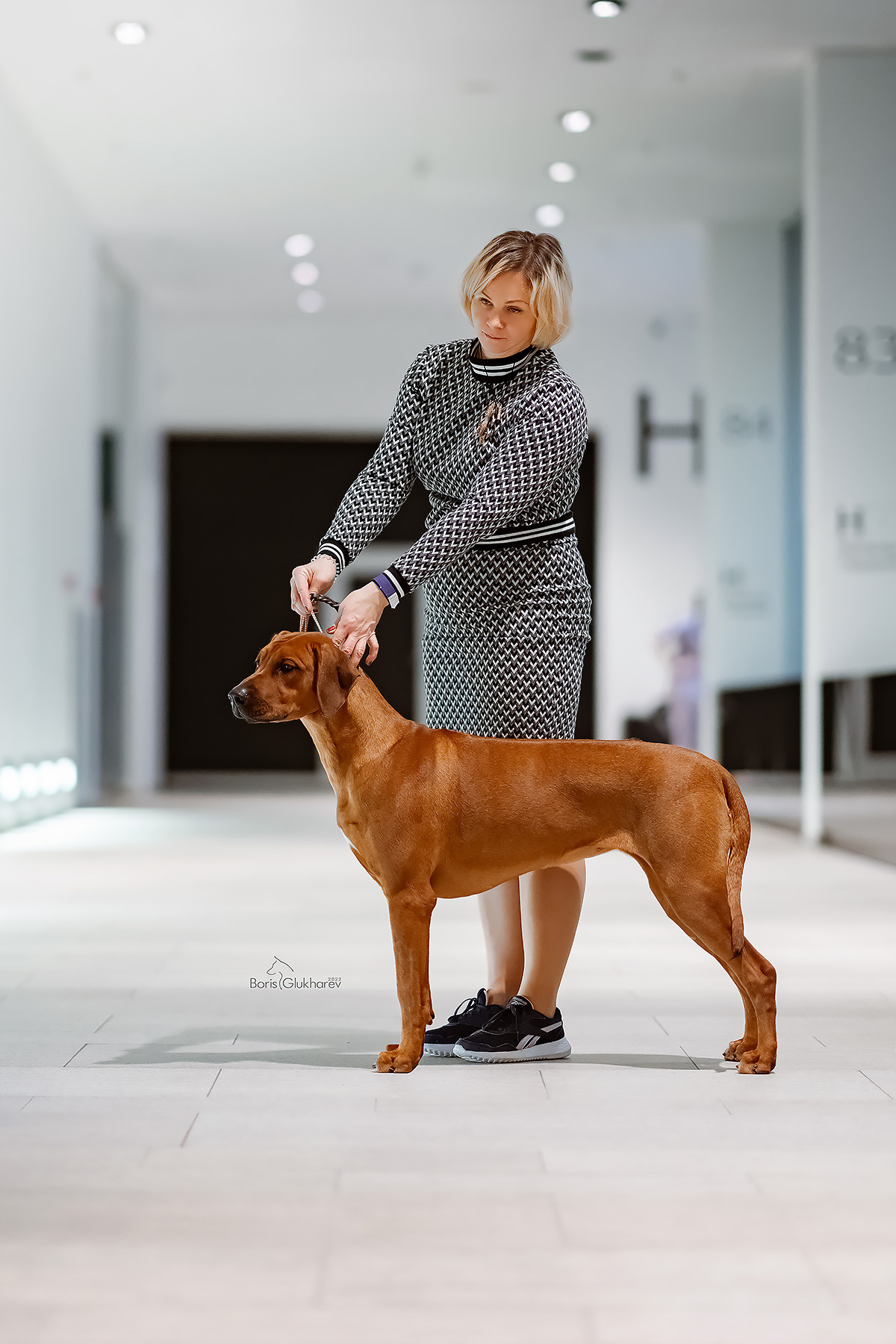 Нала. Родезийские Риджбеки в Санкт-Петербурге