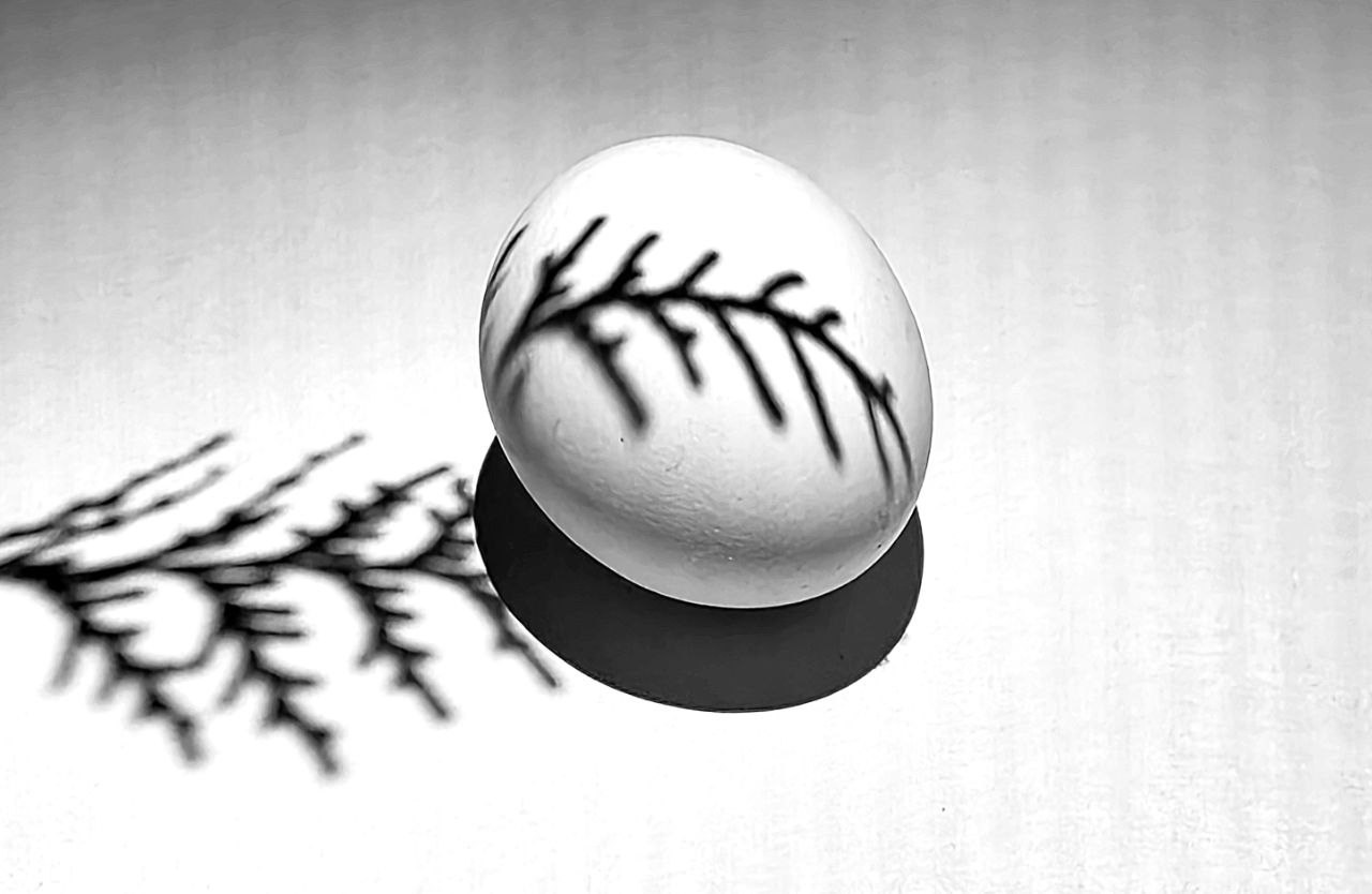 Марафон креативной фотографии. Vladimir Borele Photographer