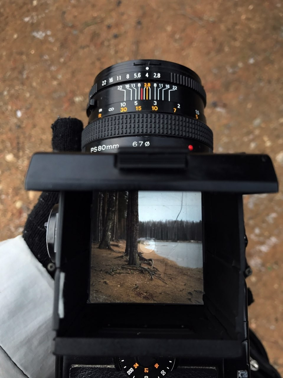 Зима на подходе. Фотограф Константин Шамин