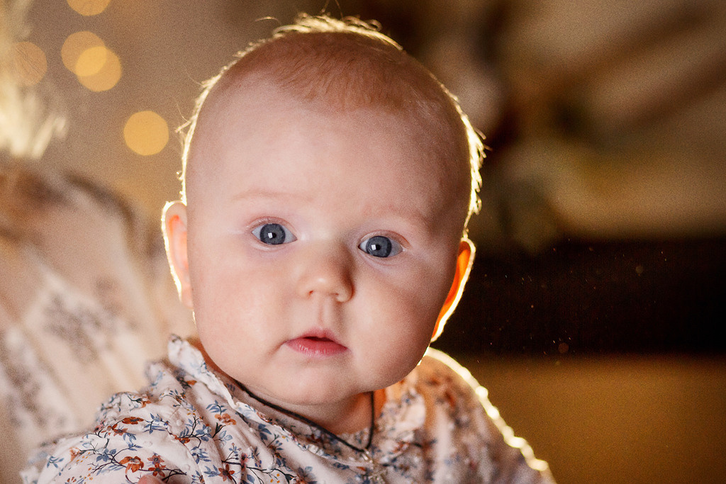 Предновогоднее настроение. Фотокоуч Катерина Каледина