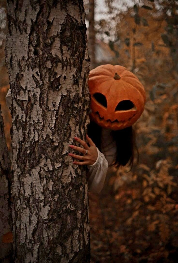 Съемка с тыквами. Портретный фотограф из Москвы Комбар Елизавета