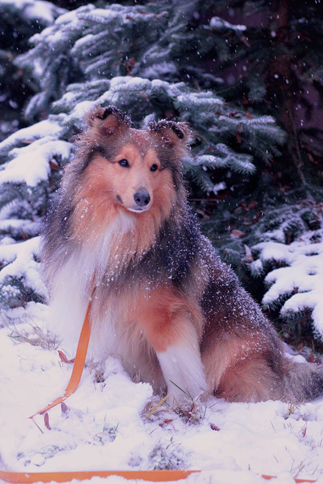 Катя Попова|ЛайфСтайл фотограф