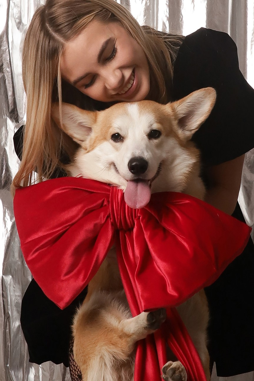 Серебристый Новогодний