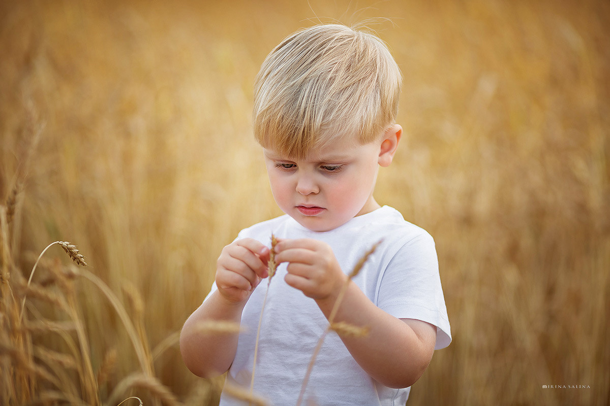 Фотосессия в пшенице. Детский и семейный фотограф в Екатеринбурге