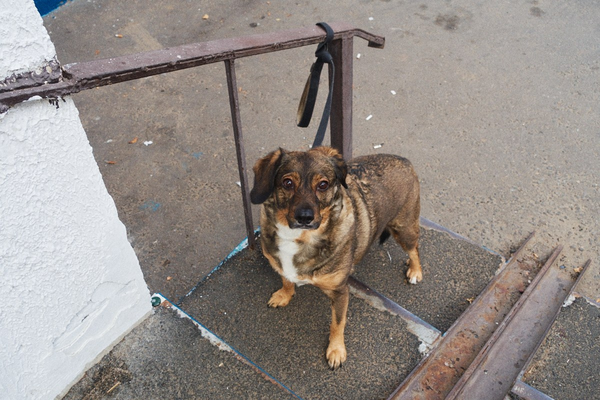 8-9/25. Иван Кобяков