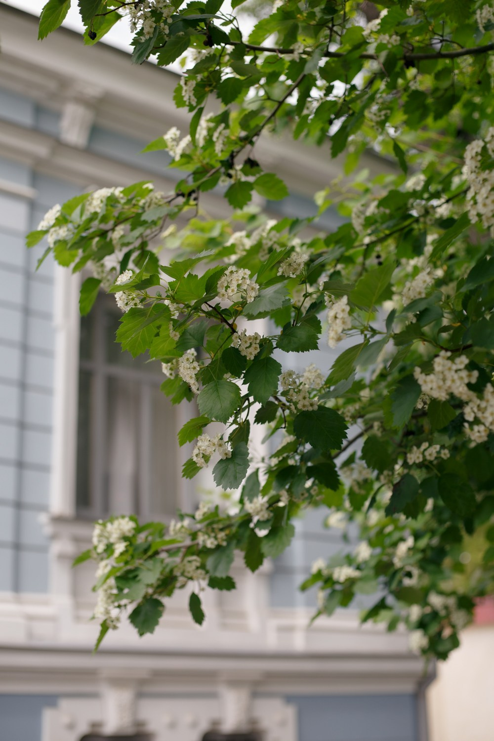 Классическая свадьба с прогулкой и банкетом в Джани. Свадебный и семейный фотограф в Нижнем Новгороде и Москве