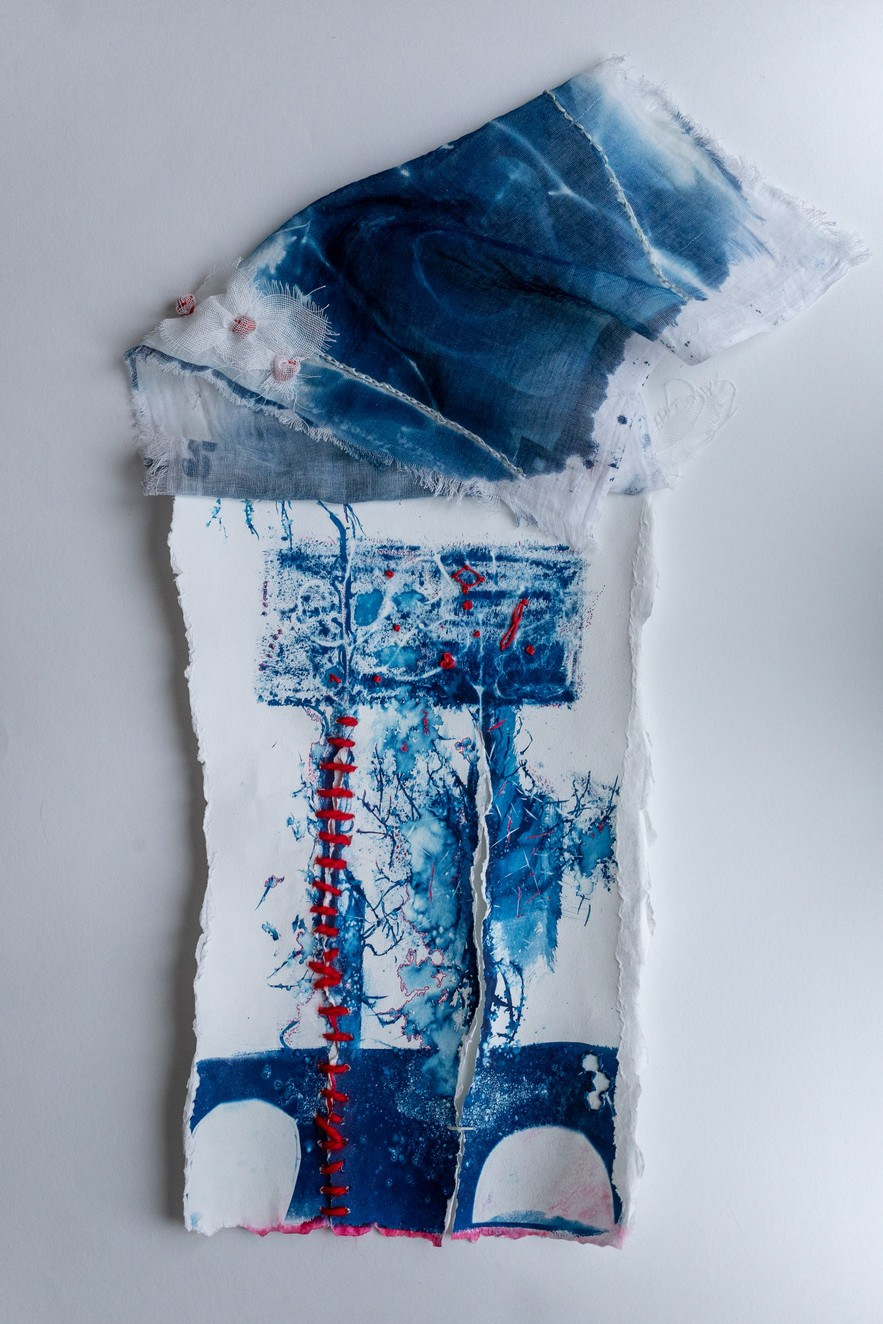 CYANOTYPE. CONTEMPORARY ARTIST OLGA ANDRIYASH