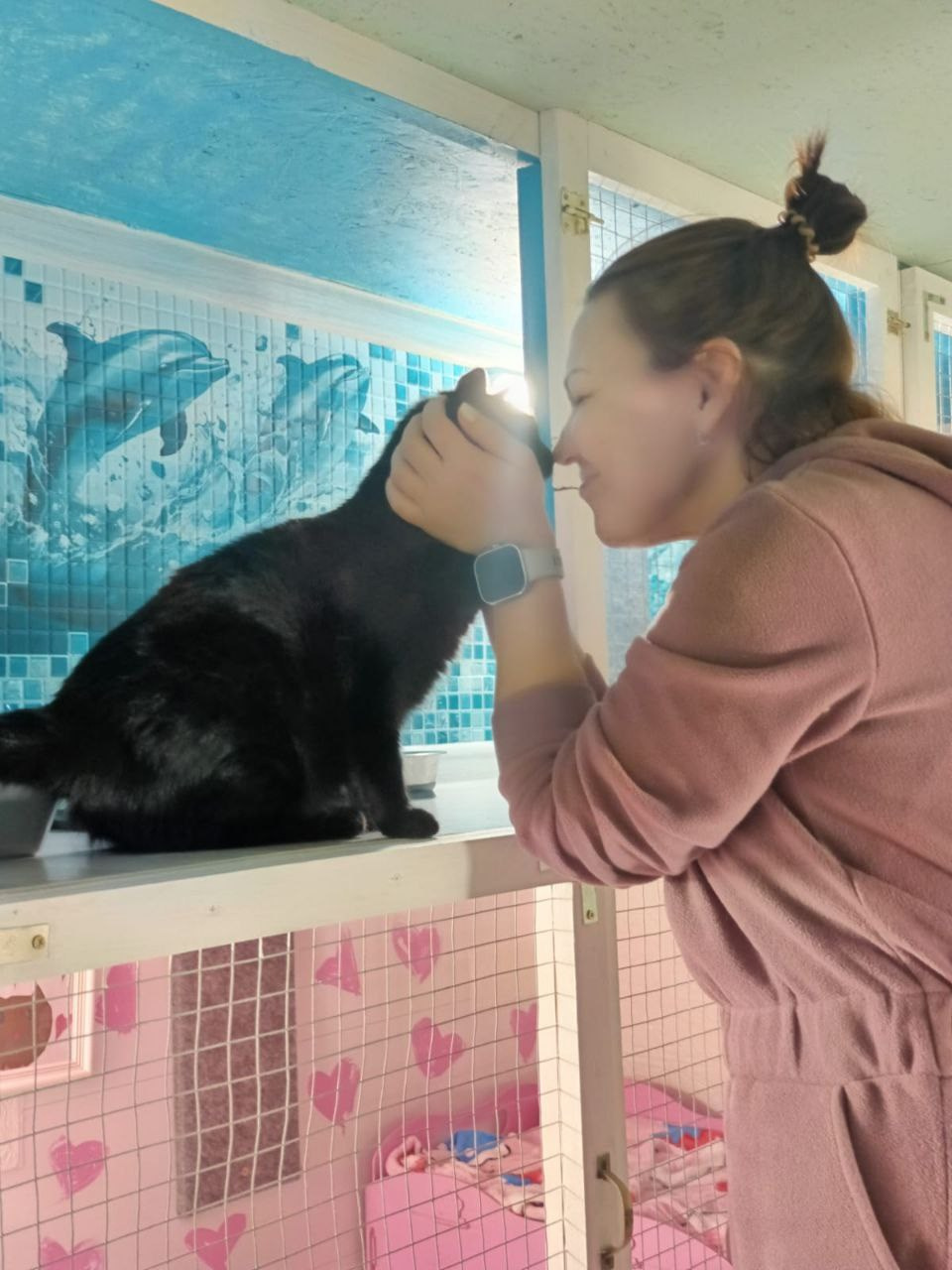 Чуча и Шкода — скромные исследователи. Гостиница для кошек Усики и хвостики, Красноярск