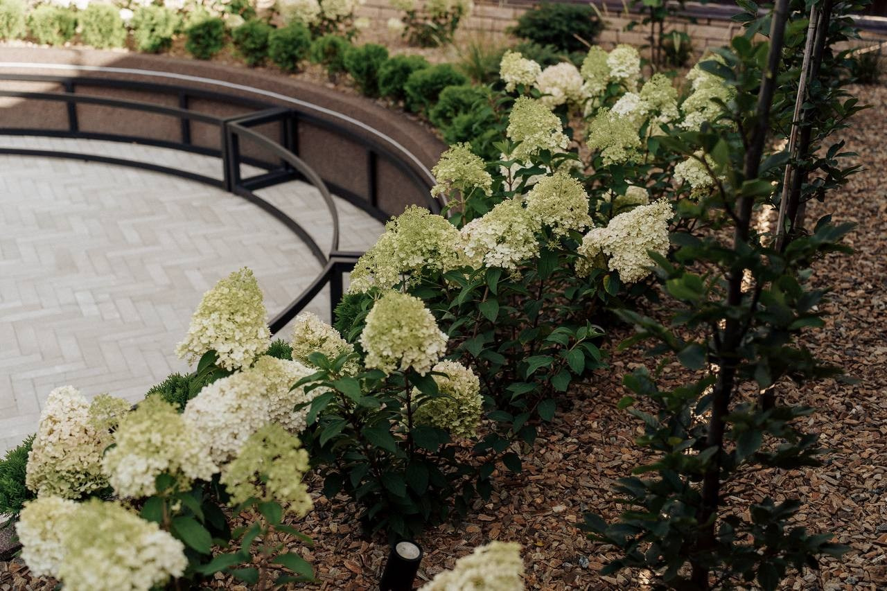 Сад, рожденный на расстоянии. LA. Ландшафтный дизайн в Минске и Гродно