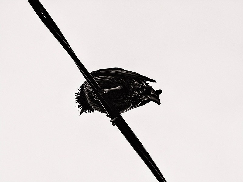 Елена Гонтаренко — художественный портрет. Фотограф в России, Семейный фотограф, репортажный фотограф, детский фотограф, портретный фотограф, контент фотограф, универсальный фотограф