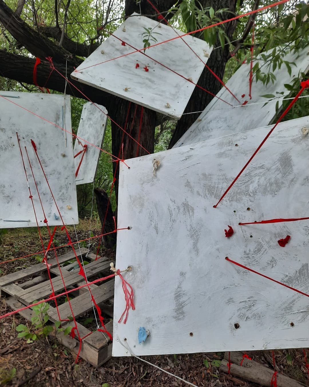 Красненькая биеннале. Санкт-Петербург. Лилия Ким. Междисциплинарный художник