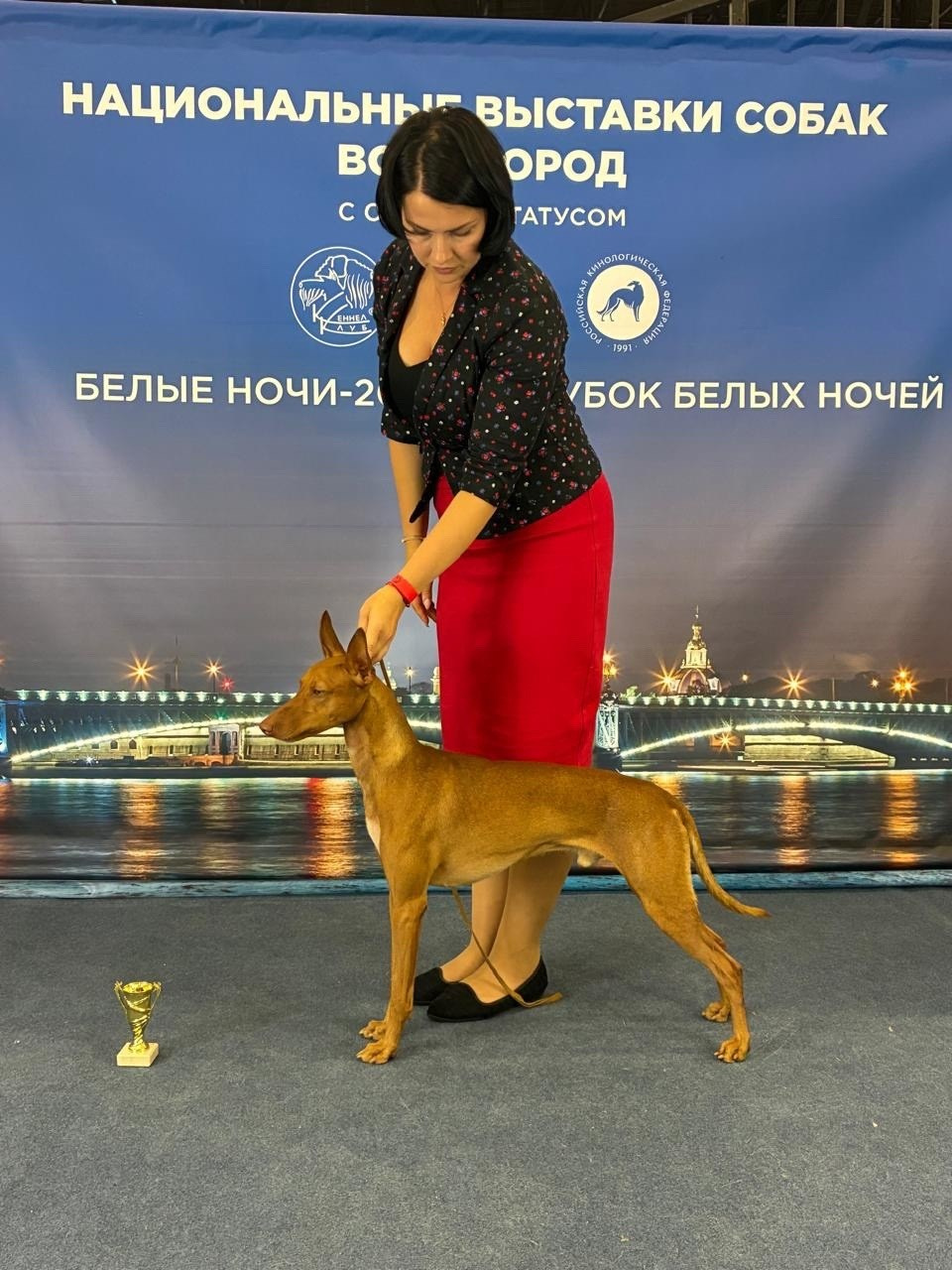 Профессиональный питомник Чирнеко дель Этна «IRKISS»