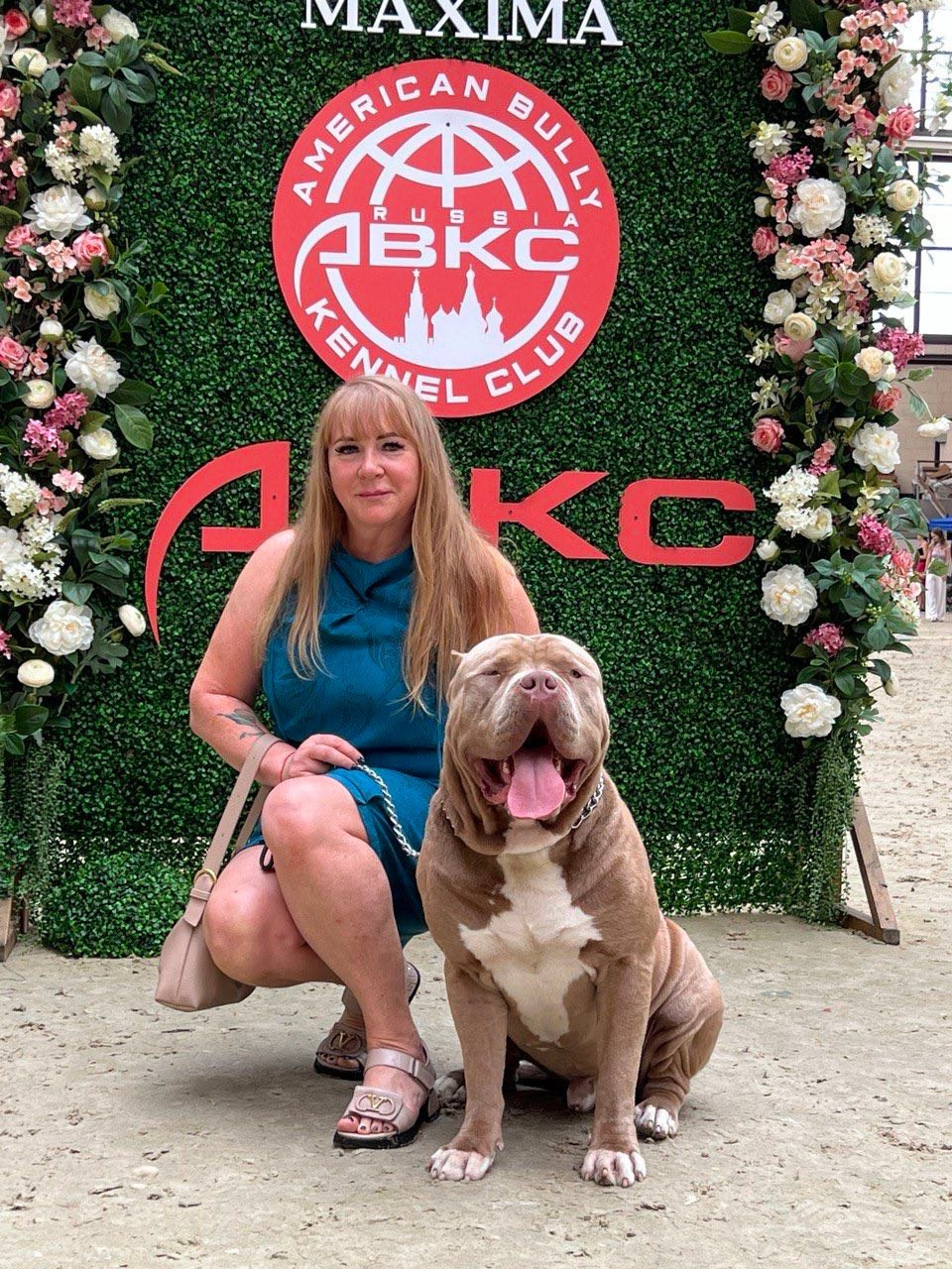 Хантер. Американские булли XL в г. Калининград. Питомник Great Bully UNIVERSE